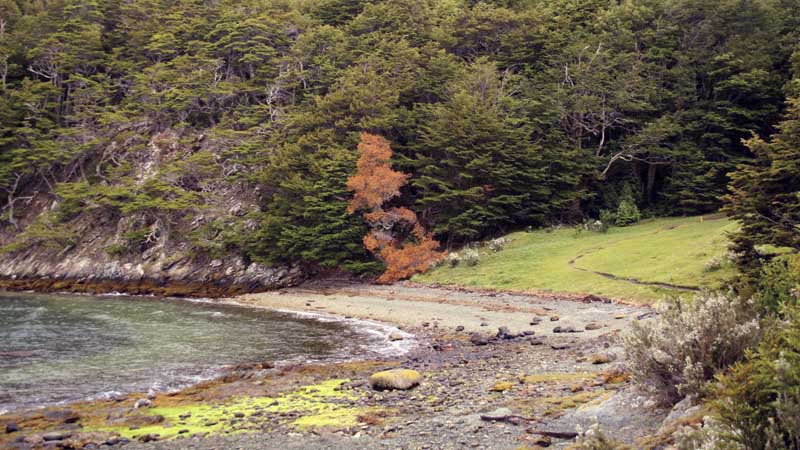 Atardecer en el Parque Nacional Tierra del Fuego