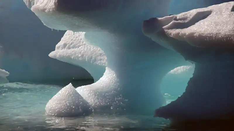 Cruzeiros Antártida