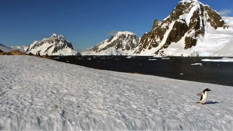 Cruzeiros Antártida