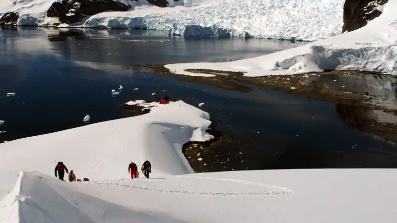 Cruzeiros Antártida