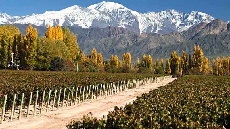 Mendoza