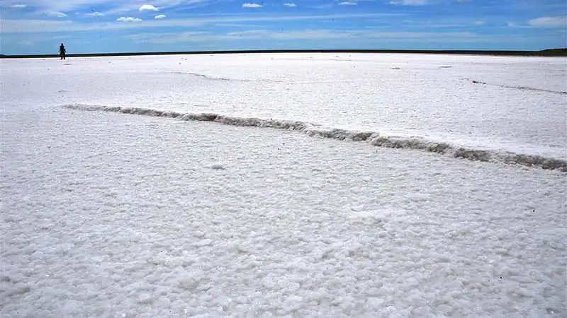 Safari às Nuvens Movitrack