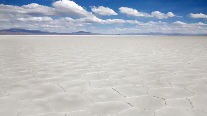 Safari às Nuvens Movitrack