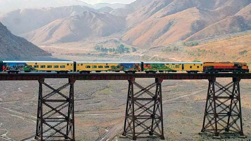 Mini Safari Movitrack