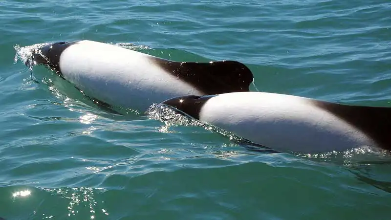 Vale Inferior, Gaiman e Museu Paleontológico de Trelew