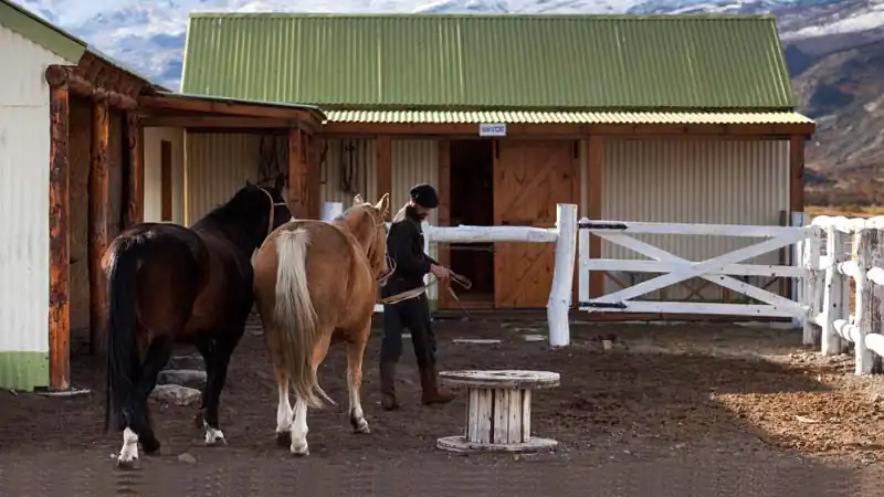 Fazenda Cristina Discovery