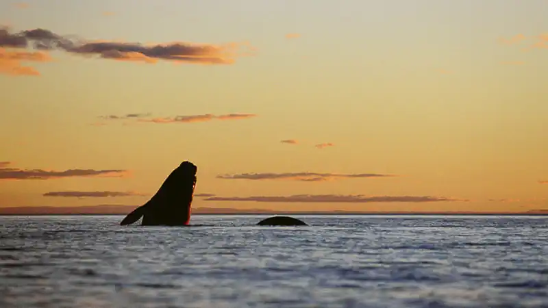 Navegação Sunset Fotográfico 