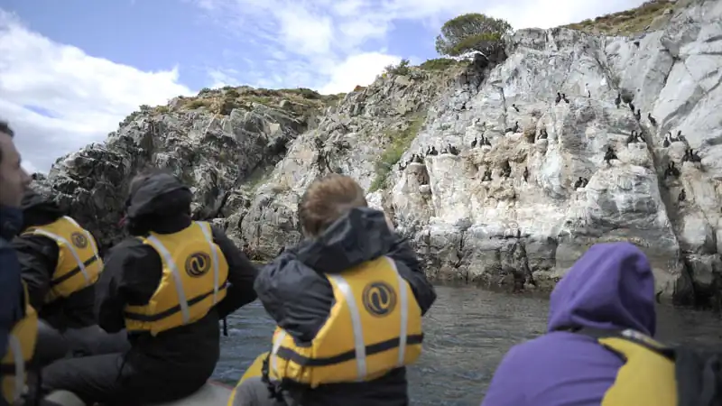Ilha Gable e Pingüinera com canoas