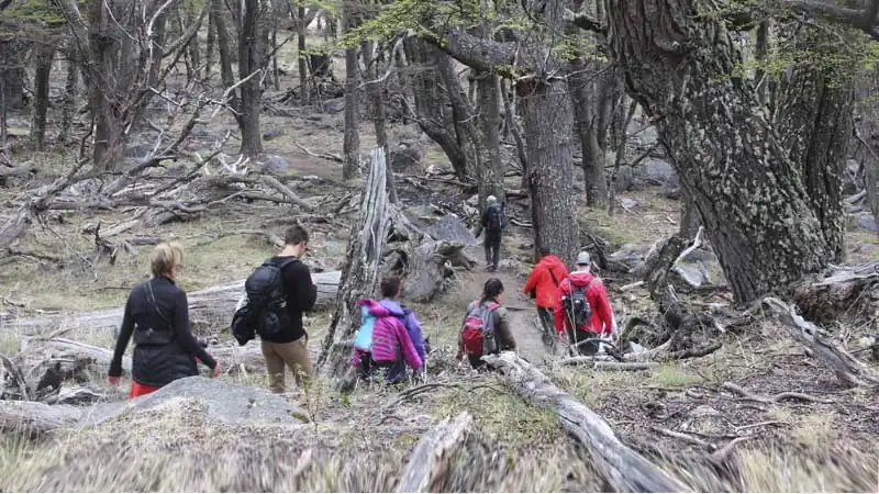 Full Day Chaltén desde Calafate Trek Livre