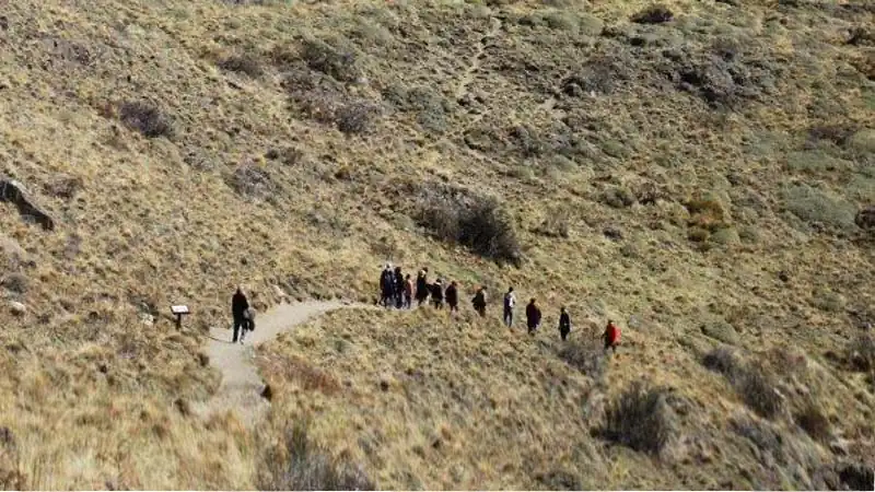 Full Day Chaltén desde Calafate com Lago del Desierto 