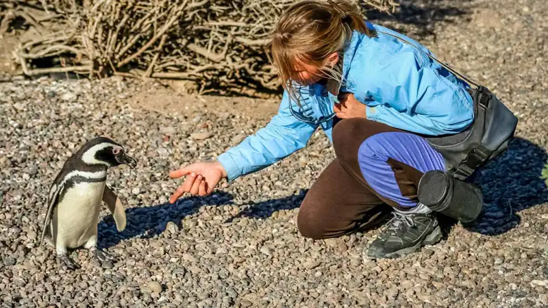 Caminhada com pingüins com navegação pelo Canal Beagle
