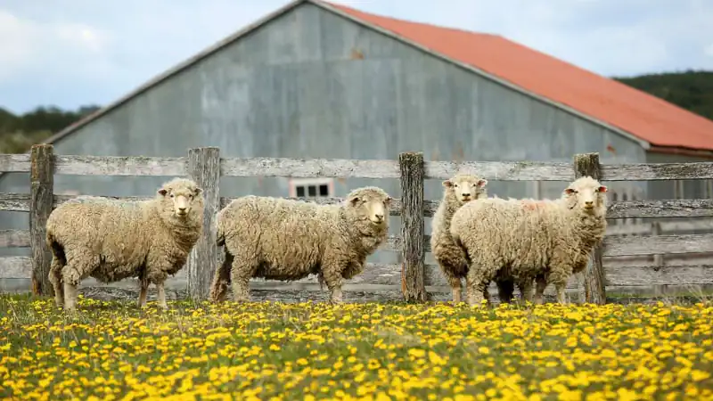 Cabo São Paulo e Fazenda Rolito