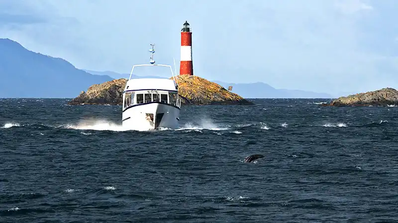 Navegação Canal Beagle em Iate