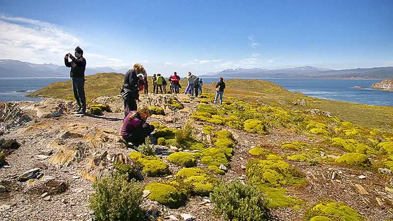 Navegação Canal Beagle em Iate