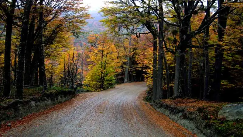 Parque Nacional Tierra del Fuego
