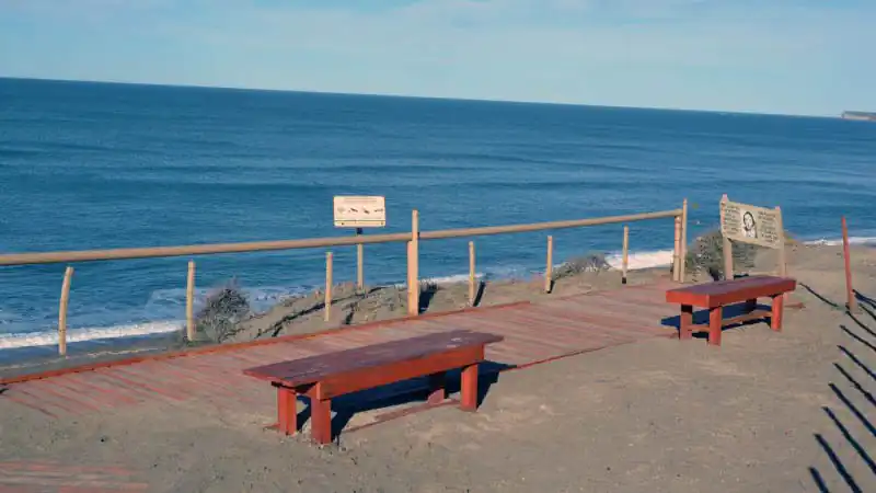 Passeio pela Península Valdés