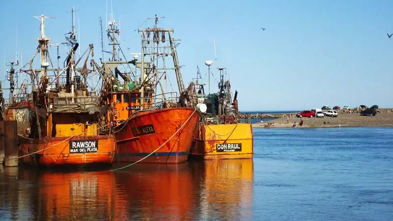 Punta Tombo e Praia Unión