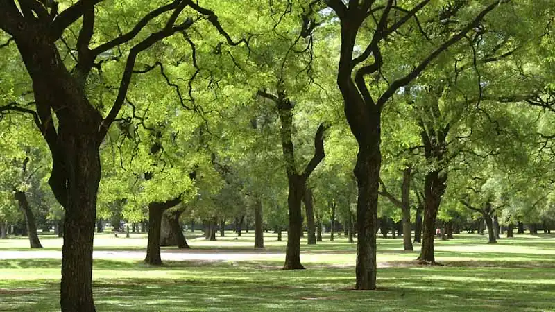 Buenos Aires City Tour
