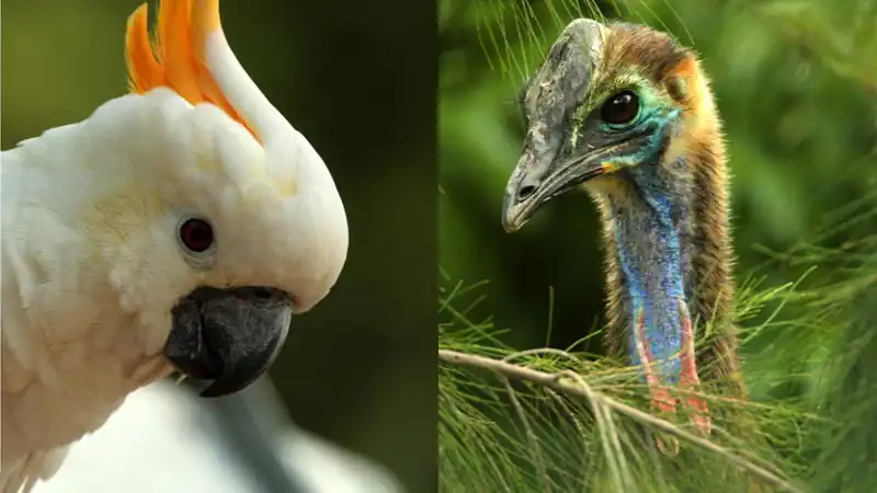 Bioparque Temaiken – Terra de Vida