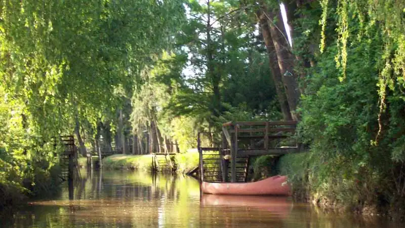 Tigre e Delta com Navegação