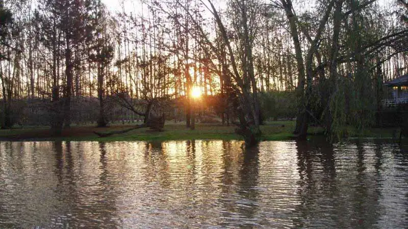 Tigre e Delta com Navegação