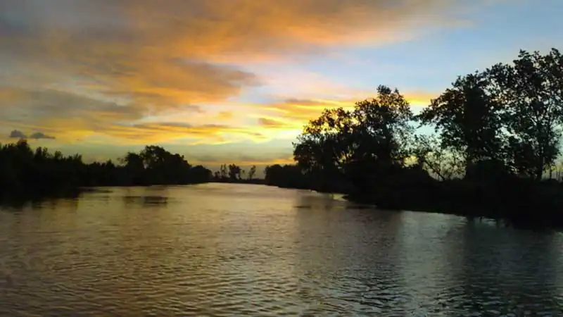 Tigre e Delta com Navegação