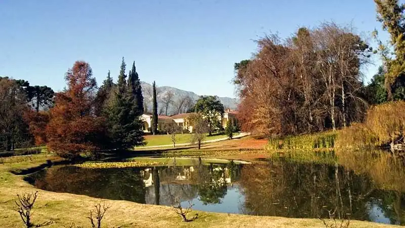 Visita ao Vinhedo Concha y Toro 