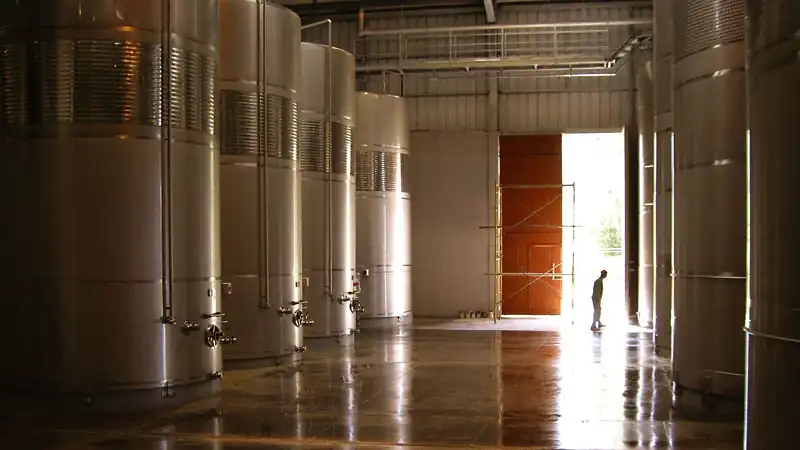 Visita ao Vinhedo Concha y Toro 