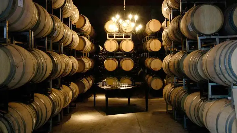 Experiências Sensoriais Premium, Dia de Vinhos