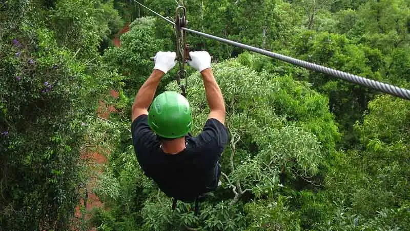 Iguaçu Canopy Forest