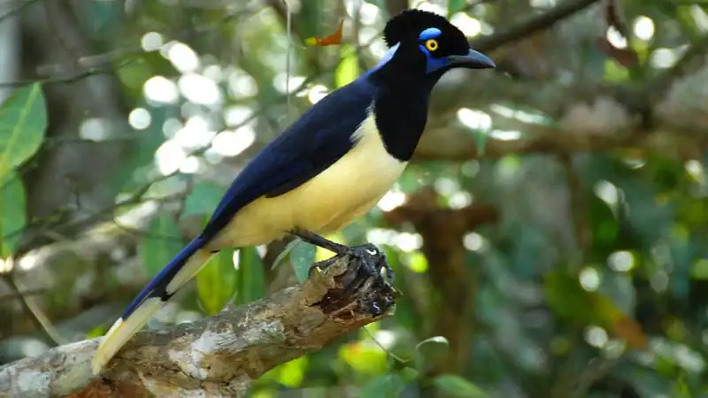 City Tour em Puerto Iguazu