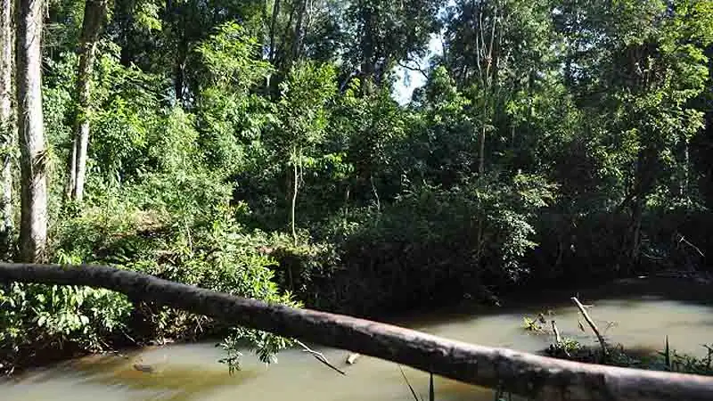 Aldeia Guarani Fortin M Borore