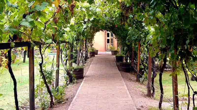 Cavas Wine Lodge – Luxo