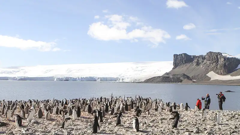 Clássica Geórgia do Sul 
