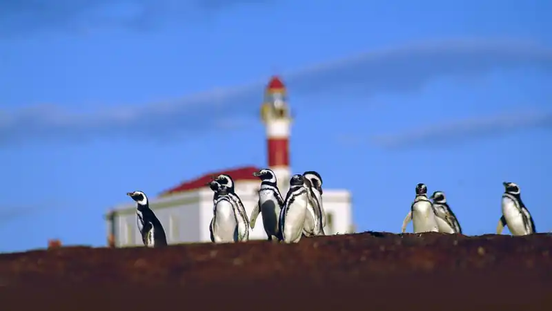 Cruzeiro Stella Australis, Ushuaia, Calafate e Torres del Paine