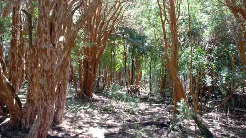 Escapada a Bariloche