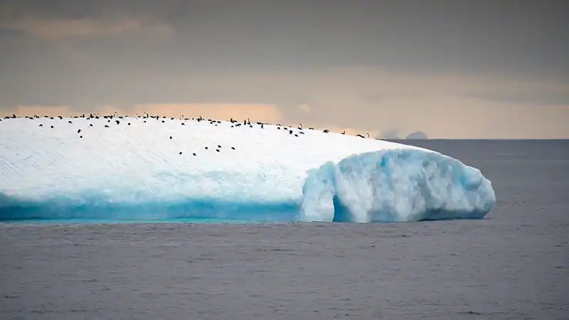 Aero – Cruzeiro Antártida Express 