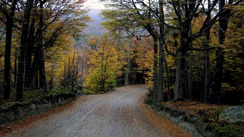 Escapada à Patagônia Sul: Ushuaia, Calafate e Glaciar Perito Moreno