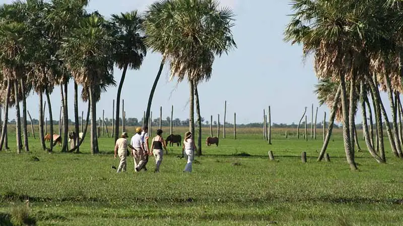 Safári nos Esteros del Iberá no Aguapé Lodge