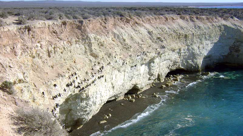 Puerto Madryn - Punta Loma